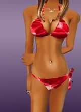 Red Bikini author Unknown